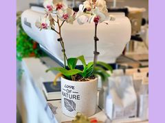 -LAB COFFEE来杯咖啡(浦仓路店)