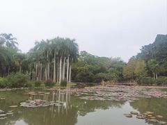 -中国科学院西双版纳热带植物园