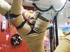 -袖虎·猫馆(体育西路店)