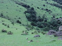 -大姆山草场