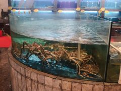 水产区-东方御花园酒店