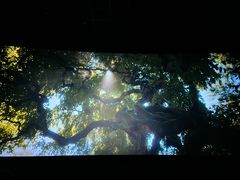 -英皇电影城(英皇集团中心IMAX店)