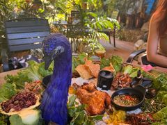 -品德宏·孔雀宴的发源地(金塔园店)