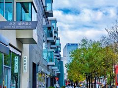 -三里屯东五街银杏大道