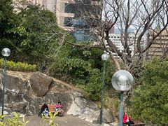 -讯号山花园