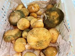 -菌之家·专业纯野生菌火锅·特色炒菌