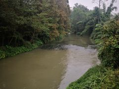 -桤木河湿地公园