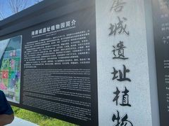 -洛阳市隋唐城遗址植物园