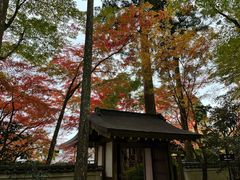 -三千院