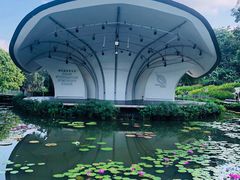 -新加坡植物园