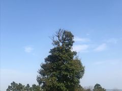 -缥缈峰景区