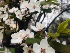 -西安交通大学(雁塔校区)