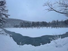 -青池
