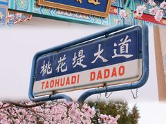 -桃花堤公园