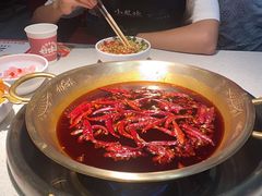 -小龙坎火锅(春熙太古里店)