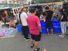 -中环花鸟鱼虫市场