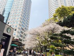 -玛格萝妮比萨屋(四平店)