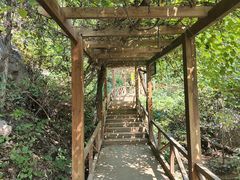 -大岭沟猕猴桃谷风景区