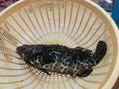 -鑫鸿达·海鲜闽菜热炒小馆(中山路店)