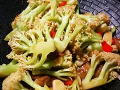 -陈麻婆豆腐总店