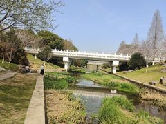 -羊山湖公园