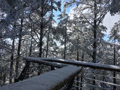 -西岭雪山大飞水景区