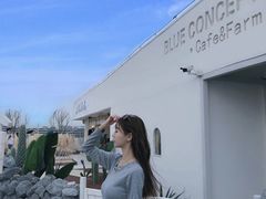 -Blue Concept Cafe&Farm·關於藍