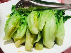 罗马生菜-西贝(金桥店)
