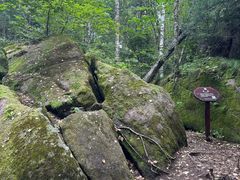 -汤旺河林海奇石景区