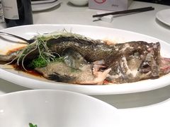清蒸石斑鱼-鱼乐轩·俄罗斯海鲜直供餐厅(群力店)