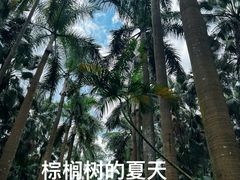 -中国科学院华南植物园