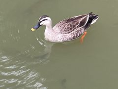 -海珠湖公园