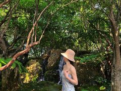 -Chom Cafe and Restaurant