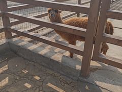 -北戴河集发农业梦想王国