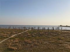 -合肥滨湖国家森林公园