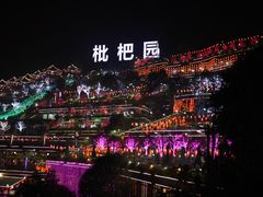 -枇杷园食为鲜火锅(南山店)