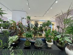 -东莞君尚