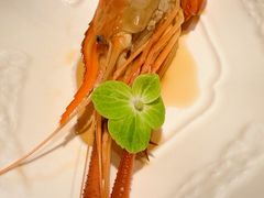 马爹利一号-食廬(浦东嘉里城店)