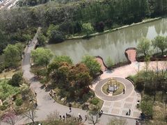 -自然谷恐龙园