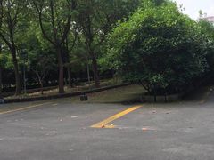 -安飞驰驾校·学车连锁(金高店)