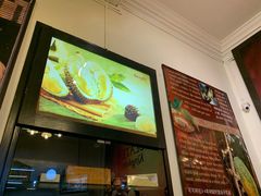 -Belice Chocolate Kingdom