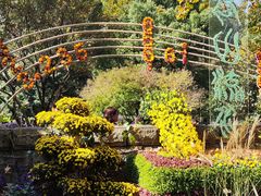 -杭州植物园