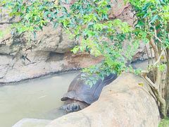 -香港海洋公园