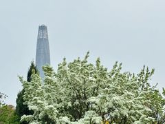 -泰丰公园