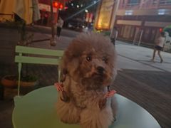 -EVA咖啡小酒馆