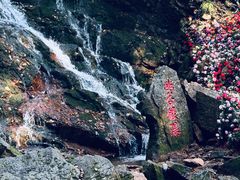 -五女峰国家森林公园