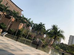 -三亚湾红树林度假世界(木棉酒店)