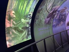 -房山世界地质公园博物馆