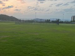 -张家界荷花国际机场航站楼-国内出发