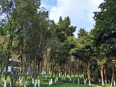 -重庆彩云湖湿地公园